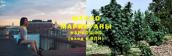 PSILOCYBIN Алзамай