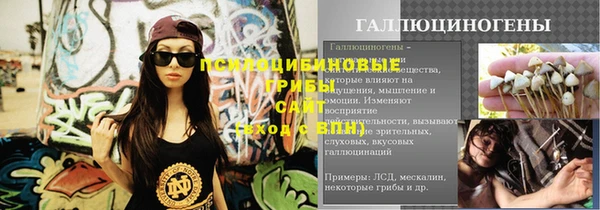 PSILOCYBIN Алзамай