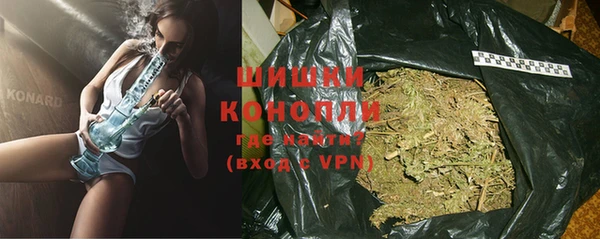 PSILOCYBIN Алзамай