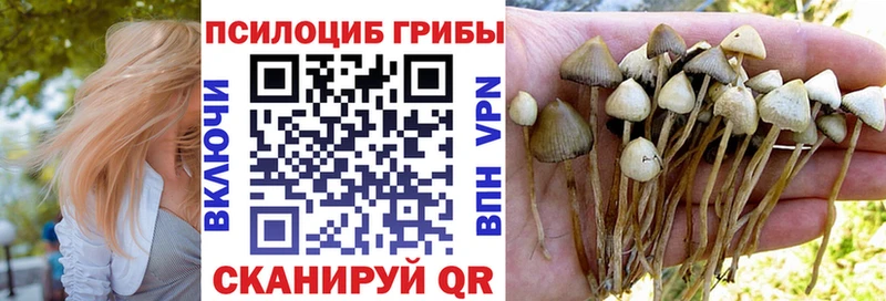 Псилоцибиновые грибы Cubensis Щигры